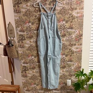 Zara Light Blue Women's Denim Overalls